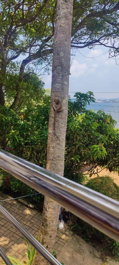Jungle Beach Restaurant And Hotel-Jbr Galle Exteriér fotografie